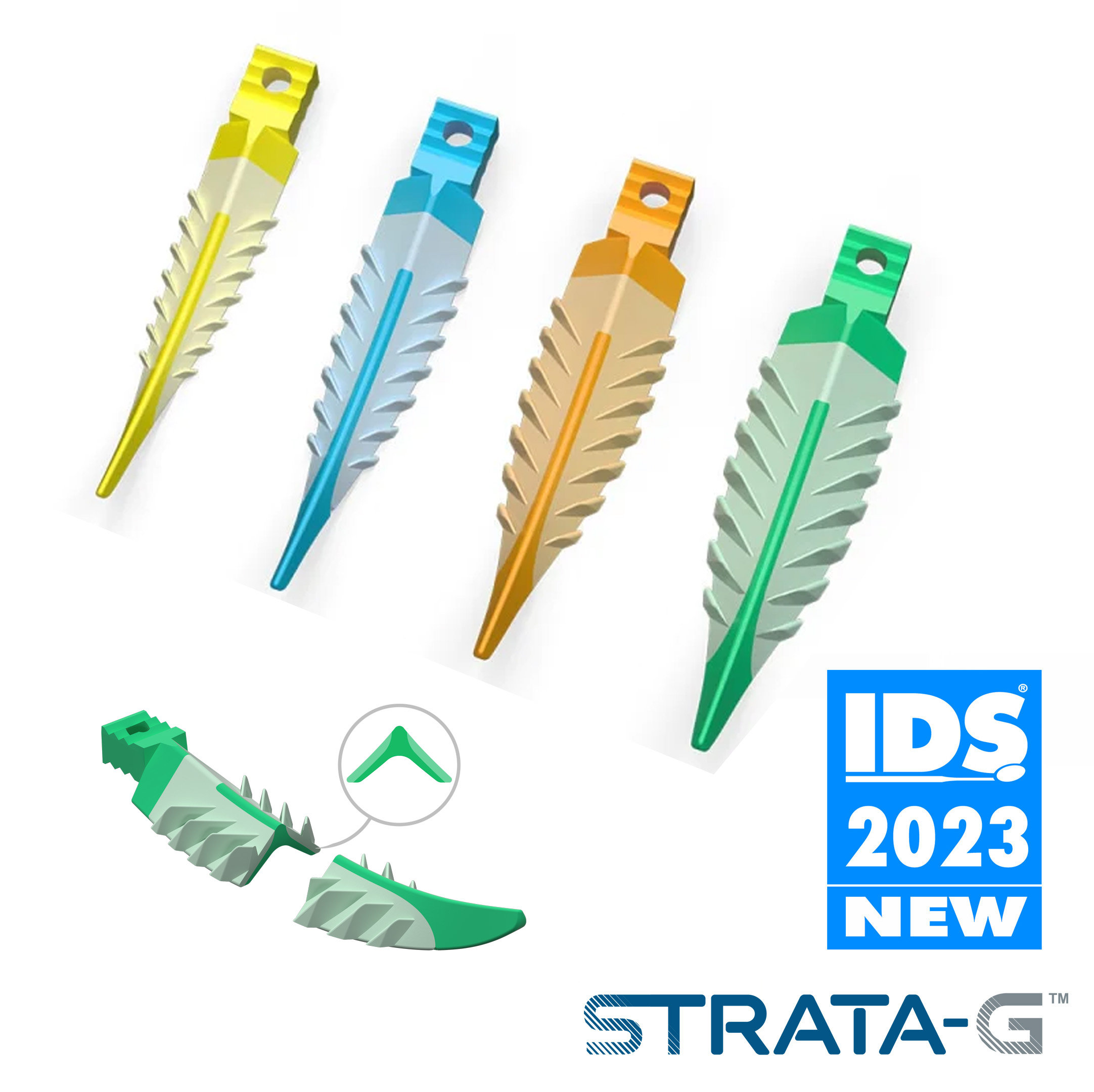 matrix Forceps 11 IDS